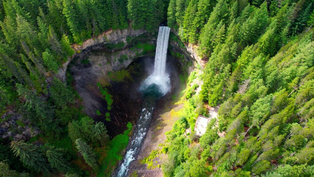 BRANDYWINE STILL 1_1.1