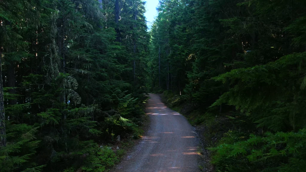 LOST-LAKE-SHOT-_1_1.1