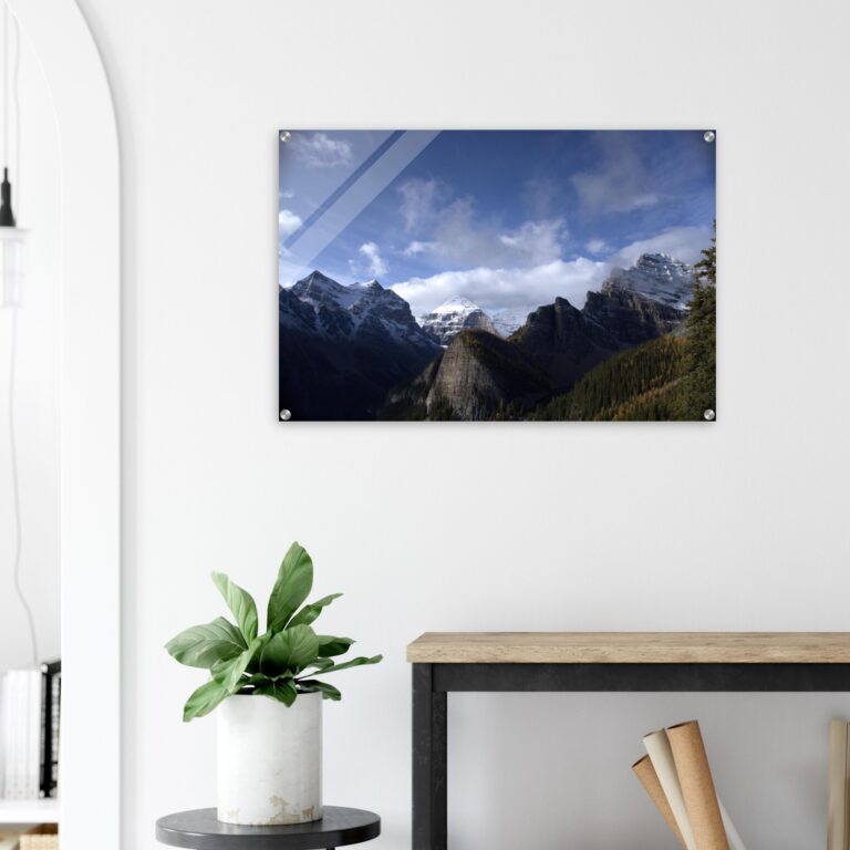 60c6093b-aef9-4ed3-991a-5ad3cb4a1dbe