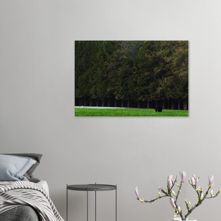 4bc7a925-20d1-4f82-92a1-87cf7a3bc032