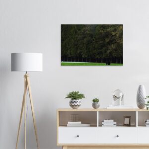 a3c9ed06-1521-48ba-a43f-a6e47753f028