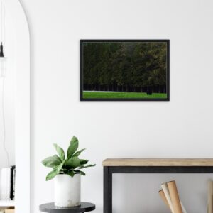 e4aa6f99-4f28-4cd2-b10e-6c2ec10ecacf