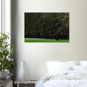 e4edac75-dbc6-40af-acc0-12f687b0afb1