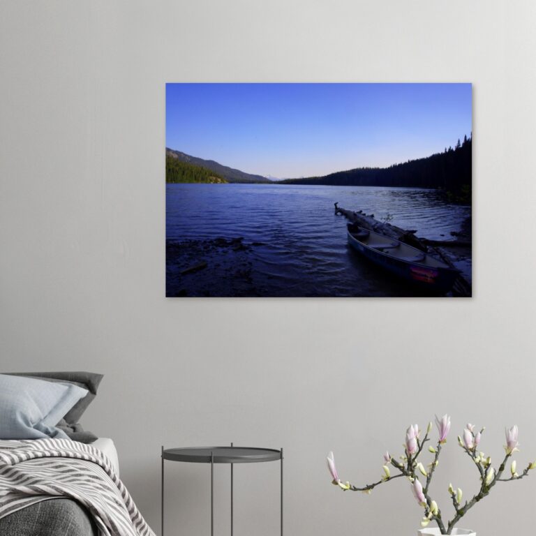 218ced02-f7e5-400f-86d6-c9daf53ecf3f