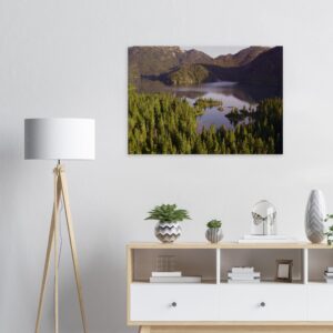 510e9105-4031-41a8-8d93-8a9d348fd9e5