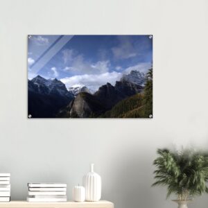 6601a82a-4e31-4cd9-9faa-ce2fb5a650c5