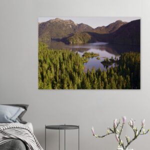 6b421bc3-01ca-4922-97ac-f3460fbf10f3