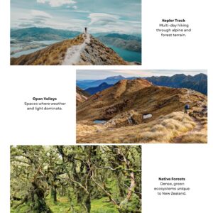 New Zealand Essentials - OneLife Travel Guide - Image 4