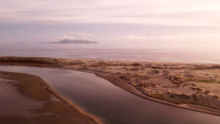 Still 2026-02-11 161544_1.1