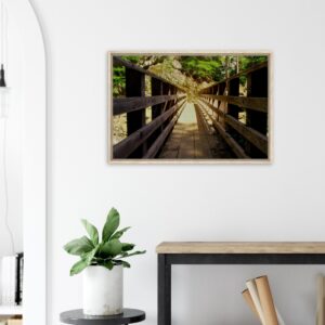 d503d49c-e842-4371-af79-5f597446dc90