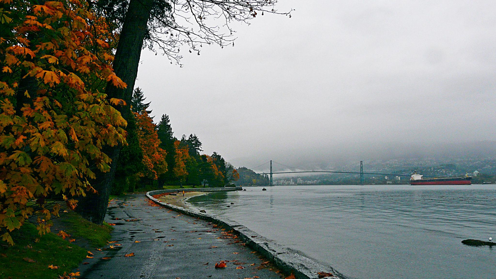 ZB1YHuxF_GH7TB3K7y66e4VFOMMAaLiofF_3FTXmkVopl2BTAO_3UOW1-YocPp339CbvwlLIbdXwVotyGHIjkjUytn7ob3QLT3I4U1Y-dT0