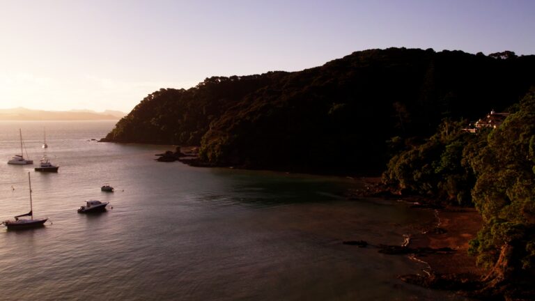 Still 2026-02-24 204110_1.10