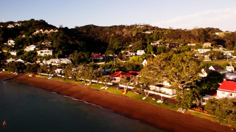 Still 2026-02-24 204110_1.13