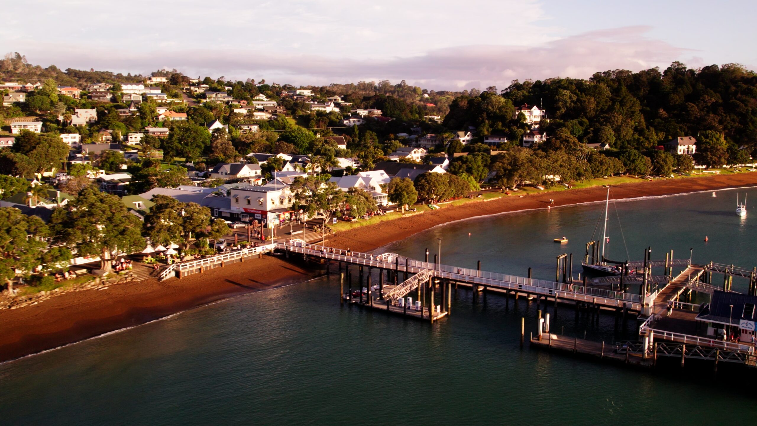 Still 2026-02-24 204110_1.5