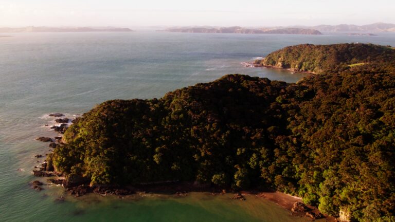 Still 2026-02-24 204110_1.7