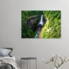 366f5eb8-e922-4dd6-94d0-616ba7aa501c