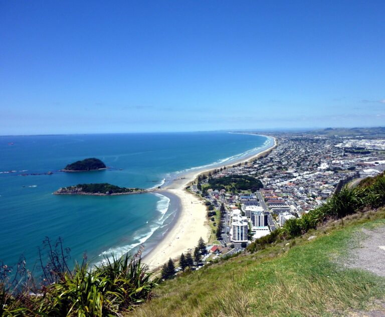 tauranga bay, new zealand, bay, scenery, ocean, sea, tauranga bay, tauranga bay, tauranga bay, new zealand, new zealand, new zealand, new zealand, new zealand