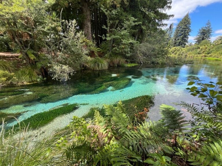 A vibrant river flowing through a lush forest with crystal clear water reflecting the surrounding trees.