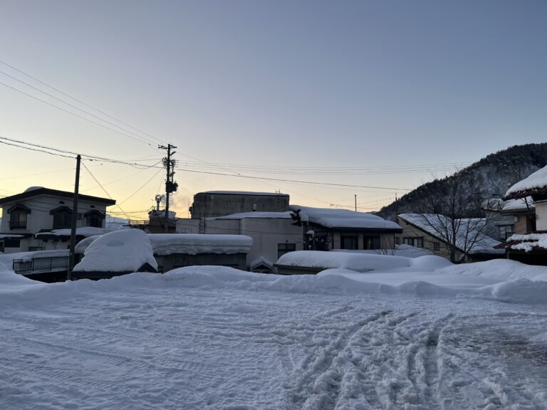 IMG_4559