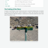 North Island Insider Guide (2026 Edition) - Image 8
